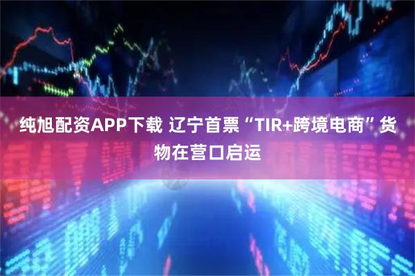 纯旭配资APP下载 辽宁首票“TIR+跨境电商”货物在营口启运