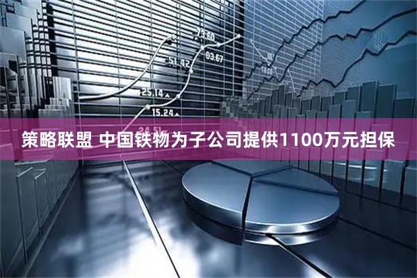 策略联盟 中国铁物为子公司提供1100万元担保