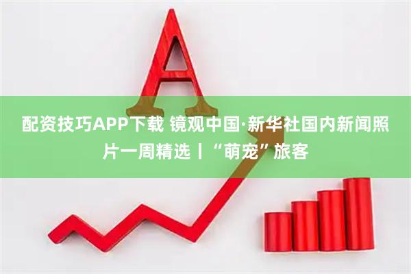 配资技巧APP下载 镜观中国·新华社国内新闻照片一周精选丨“萌宠”旅客
