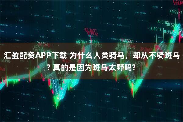 汇盈配资APP下载 为什么人类骑马，却从不骑斑马? 真的是因为斑马太野吗?