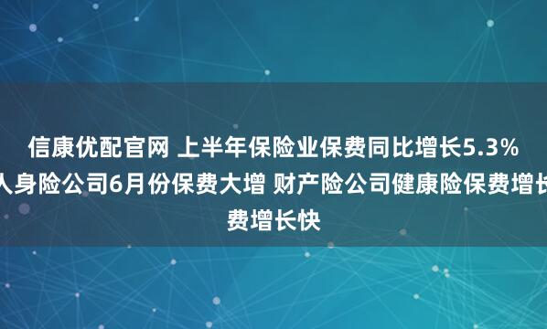 信康优配官网 上半年保险业保费同比增长5.3%:人身险公司6月份保费大增 财产险公司健康险保费增长快