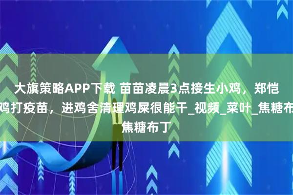 大旗策略APP下载 苗苗凌晨3点接生小鸡，郑恺给鸡打疫苗，进鸡舍清理鸡屎很能干_视频_菜叶_焦糖布丁