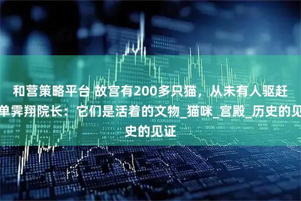 和营策略平台 故宫有200多只猫，从未有人驱赶，单霁翔院长：它们是活着的文物_猫咪_宫殿_历史的见证