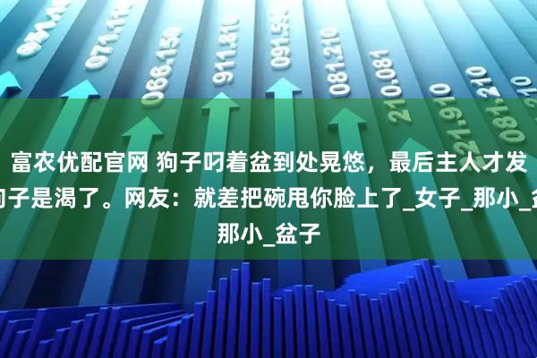 富农优配官网 狗子叼着盆到处晃悠，最后主人才发现狗子是渴了。网友：就差把碗甩你脸上了_女子_那小_盆子