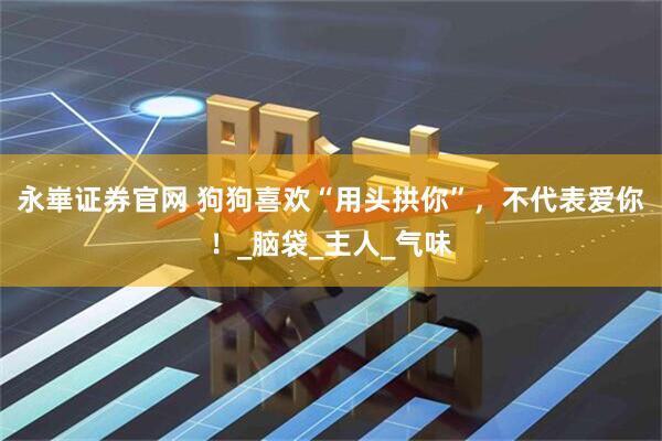 永崋证券官网 狗狗喜欢“用头拱你”，不代表爱你！_脑袋_主人_气味
