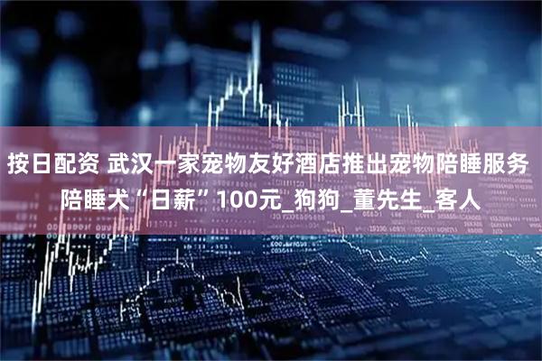 按日配资 武汉一家宠物友好酒店推出宠物陪睡服务 陪睡犬“日薪”100元_狗狗_董先生_客人